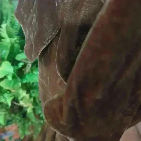 NWOT Lafayette 148 Riverside Velvet Top Size L - Picture 8 of 8